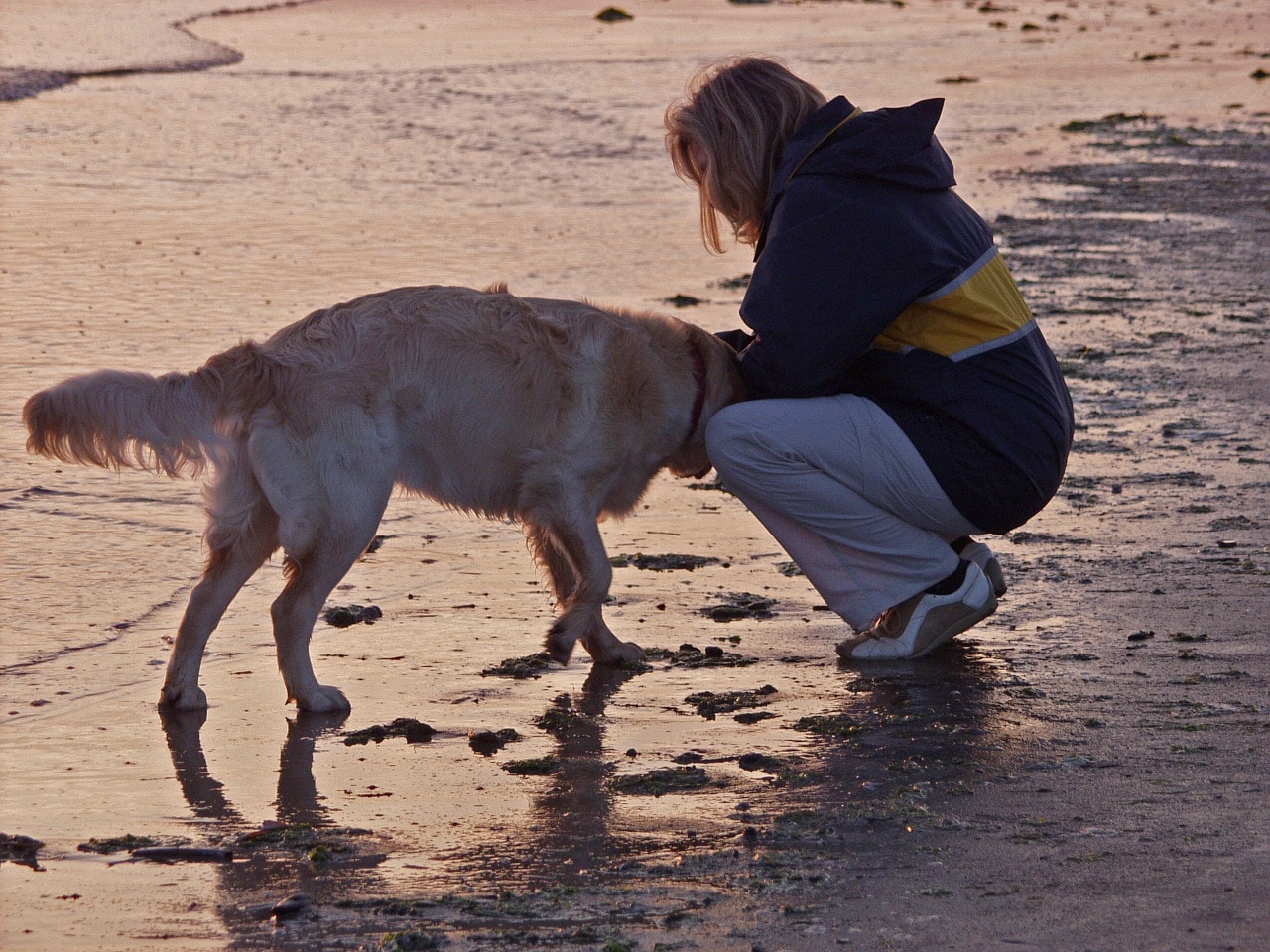 north sea, denmark, beach