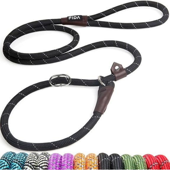 Fida Durable Slip Lead Dog Leash (6 FT)