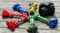 durable fun dog rope toys