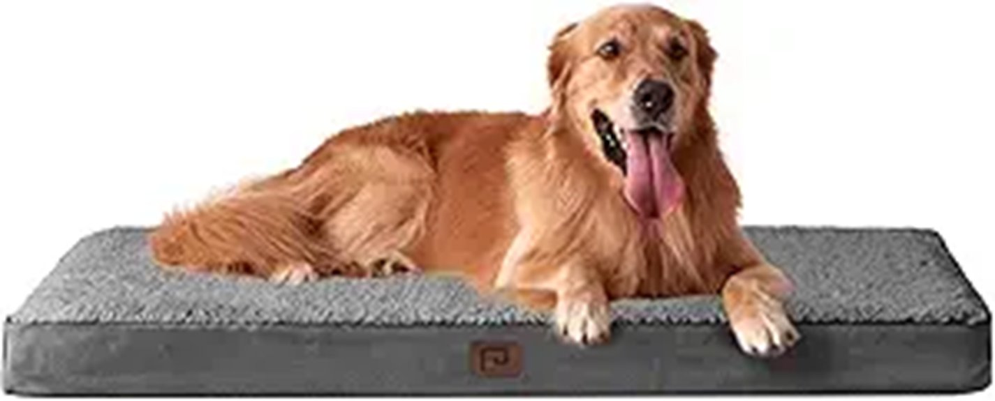 EHEYCIGA Orthopedic XL Dog Bed (Grey)
