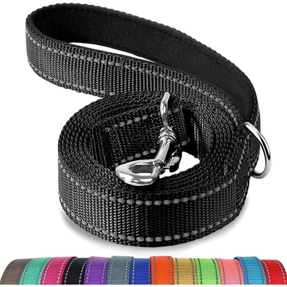 Joytale Reflective Dog Leash 6FT