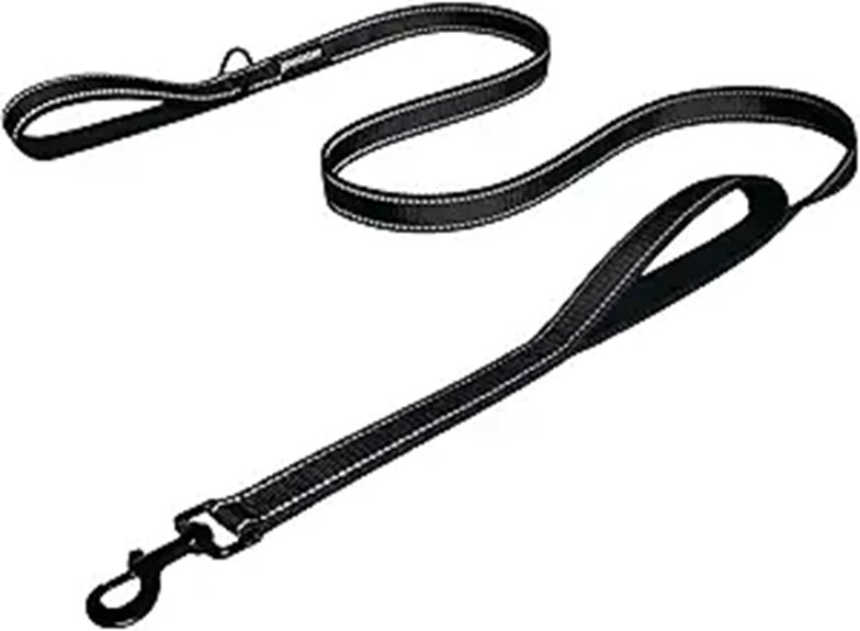 Heavy Duty Dog Leash - 6ft Black