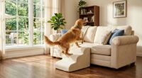 best pet stairs 2026