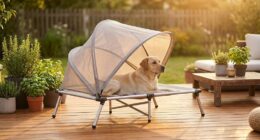 portable elevated dog cot with canopy