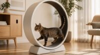 best cat exercise wheel 2026