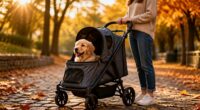 top lightweight foldable pet strollers